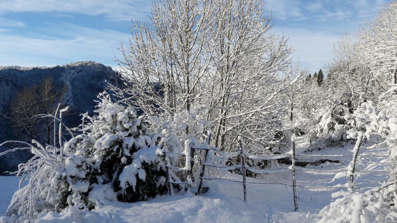 Au Coeur Du Lapidaire Septmoncel-Les-Molunes Bagian luar foto