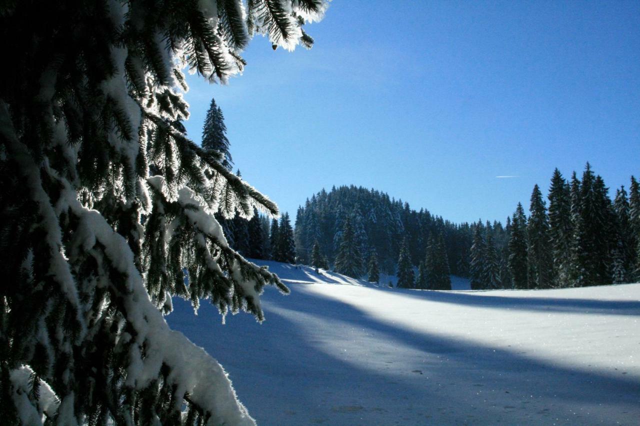 Au Coeur Du Lapidaire Septmoncel-Les-Molunes Bagian luar foto