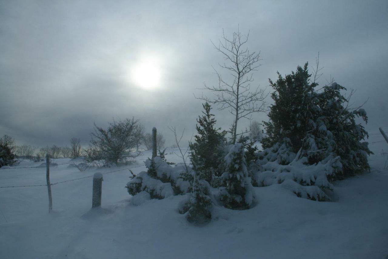 Au Coeur Du Lapidaire Septmoncel-Les-Molunes Bagian luar foto
