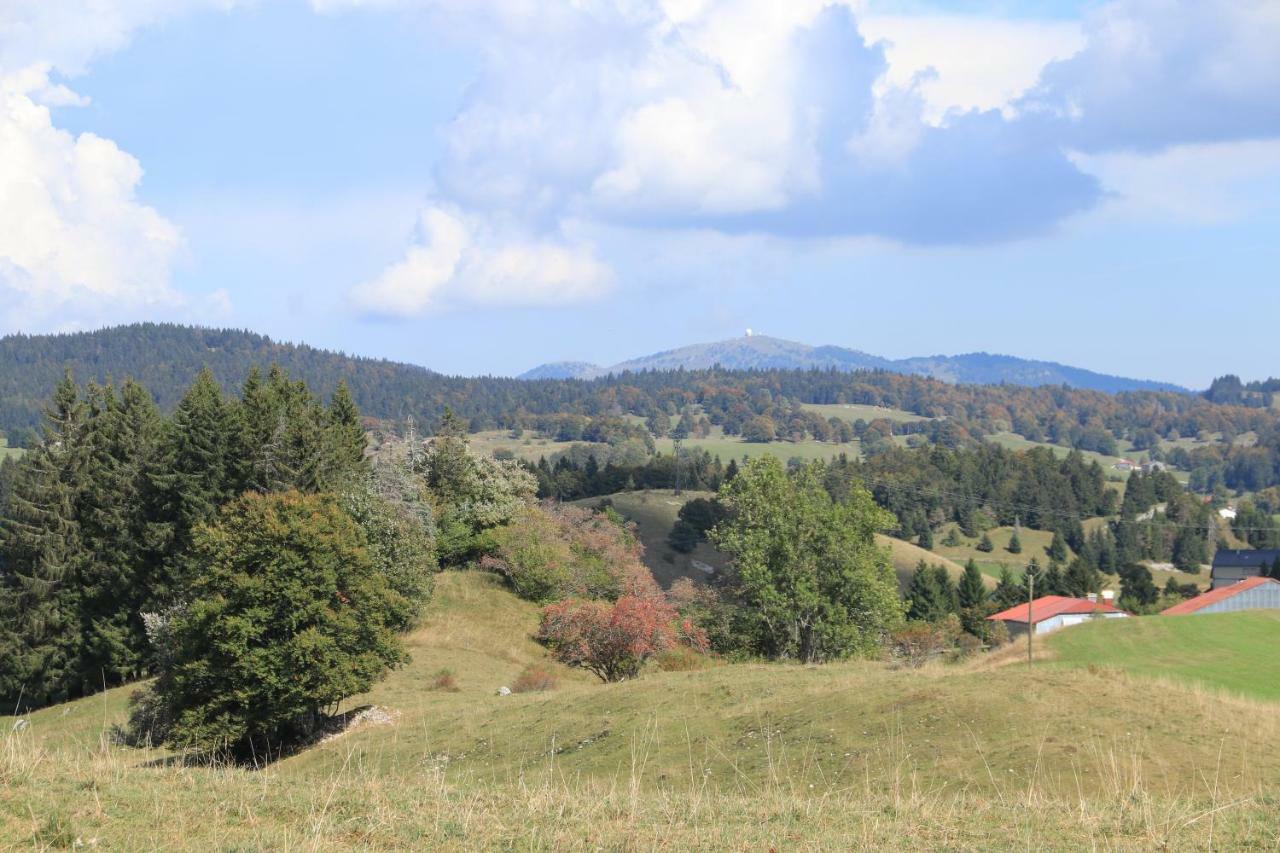 Au Coeur Du Lapidaire Septmoncel-Les-Molunes Bagian luar foto