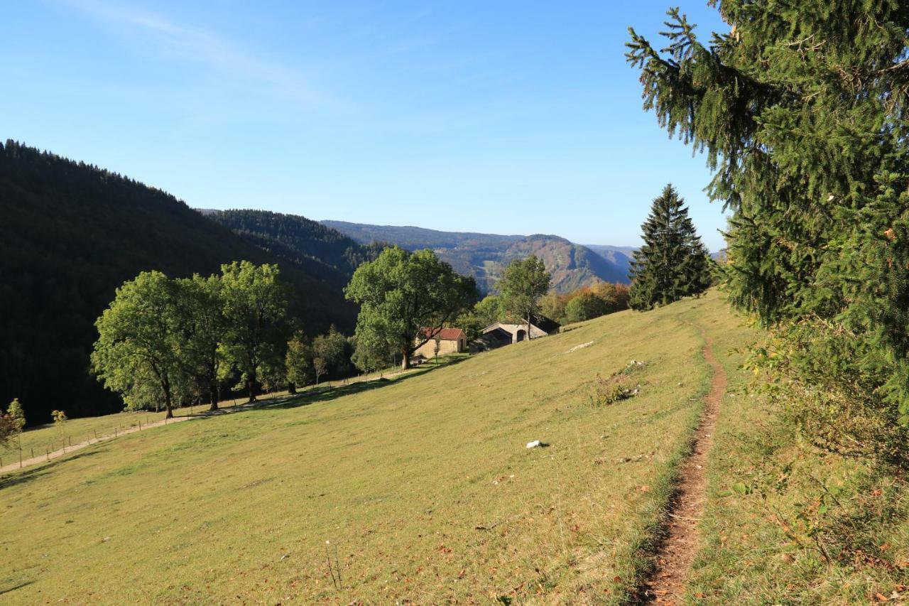 Au Coeur Du Lapidaire Septmoncel-Les-Molunes Bagian luar foto
