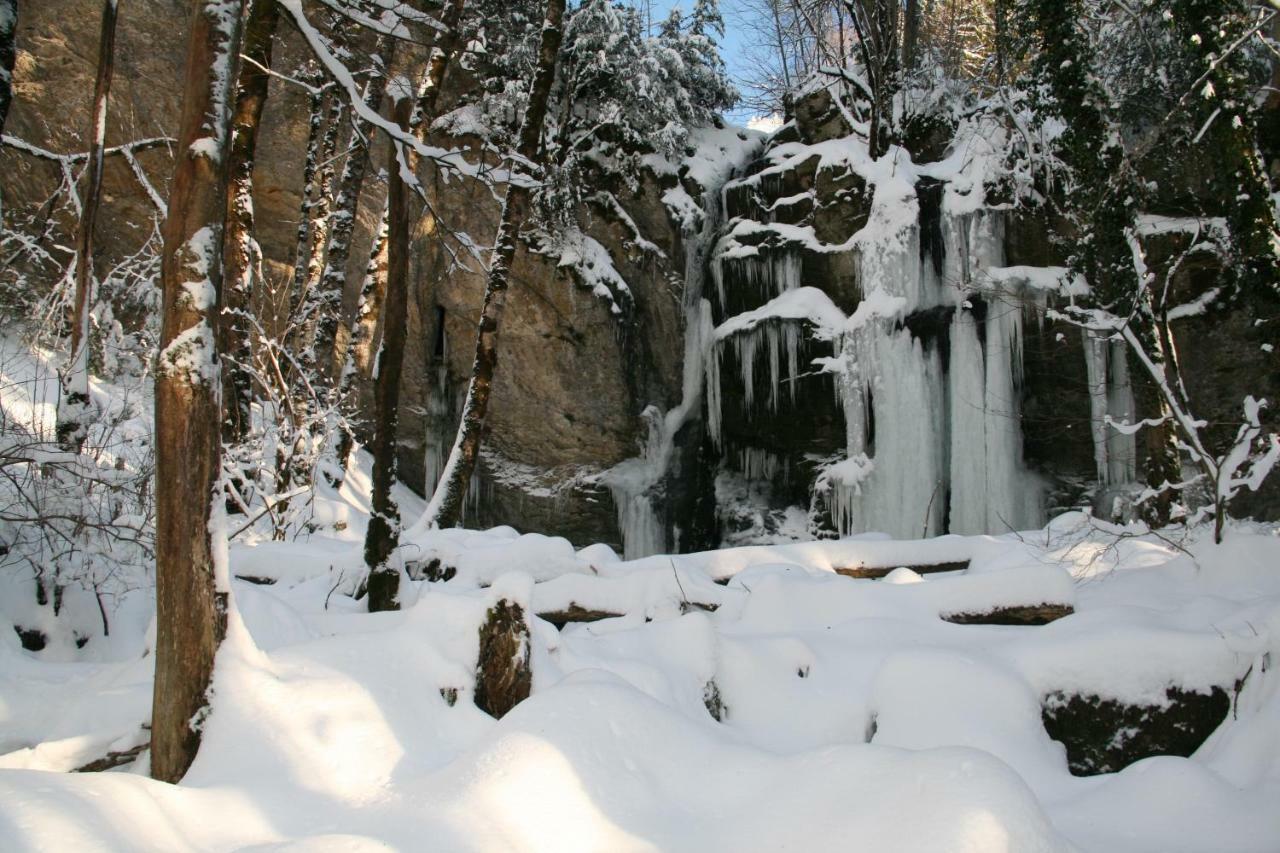 Au Coeur Du Lapidaire Septmoncel-Les-Molunes Bagian luar foto