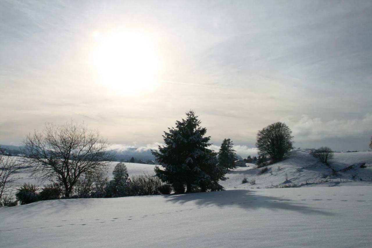 Au Coeur Du Lapidaire Septmoncel-Les-Molunes Bagian luar foto