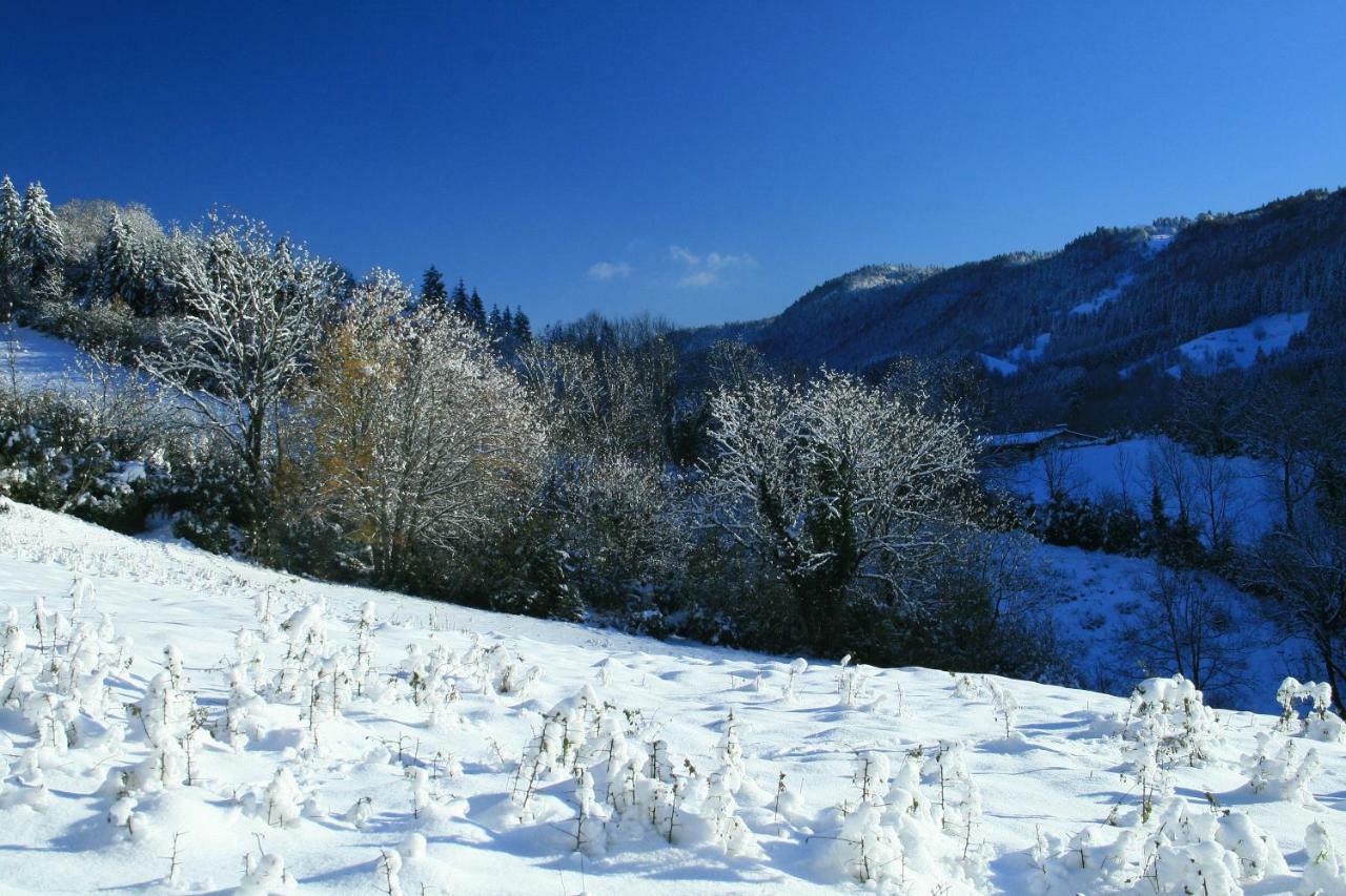 Au Coeur Du Lapidaire Septmoncel-Les-Molunes Bagian luar foto