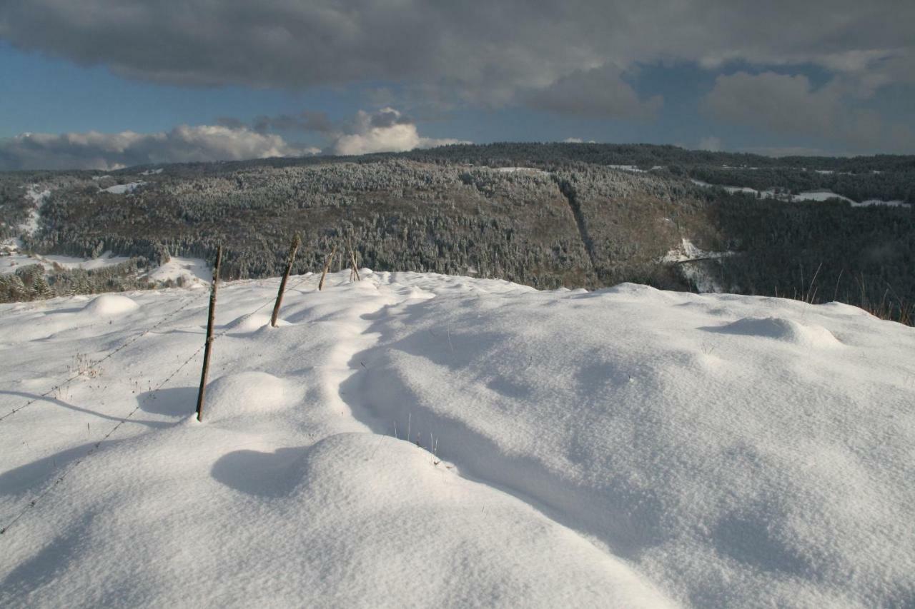 Au Coeur Du Lapidaire Septmoncel-Les-Molunes Bagian luar foto