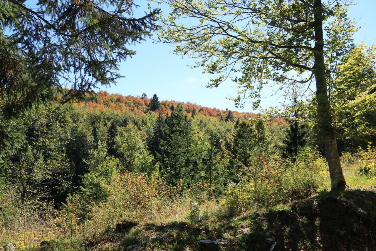 Au Coeur Du Lapidaire Septmoncel-Les-Molunes Bagian luar foto